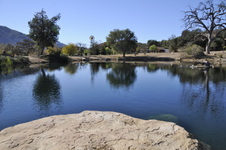 Enlarge photo 55