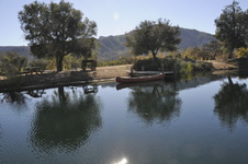 Enlarge photo 57