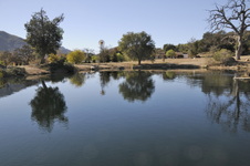 Enlarge photo 58
