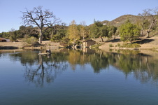 Enlarge photo 59