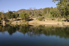 Enlarge photo 60