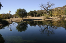 Enlarge photo 63