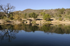Enlarge photo 64