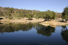 Enlarge photo 65