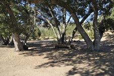 Enlarge photo 71