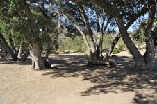 Enlarge photo 72