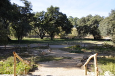 Enlarge photo 182