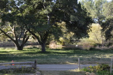 Enlarge photo 183