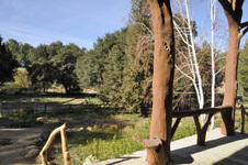 Enlarge photo 184