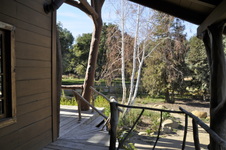 Enlarge photo 187