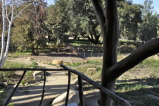 Enlarge photo 188