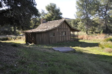 Enlarge photo 235