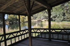 Enlarge photo 239
