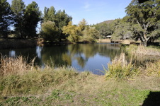 Enlarge photo 240