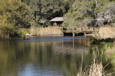 Enlarge photo 241