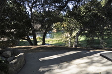 Enlarge photo 254