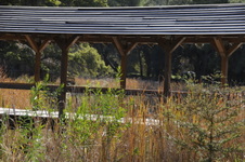 Enlarge photo 243