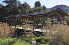 Enlarge photo 244