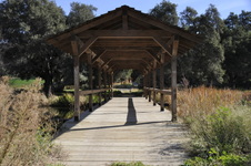 Enlarge photo 245
