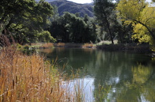 Enlarge photo 247