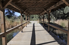 Enlarge photo 248