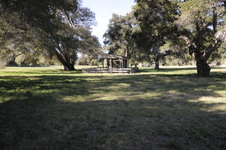 Enlarge photo 260