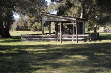 Enlarge photo 261