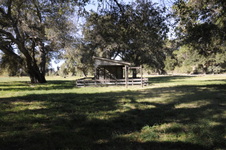 Enlarge photo 262