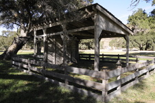 Enlarge photo 265