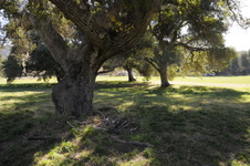 Enlarge photo 268