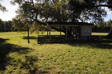 Enlarge photo 269