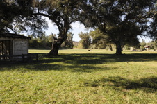 Enlarge photo 270