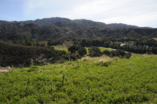 Enlarge photo 307