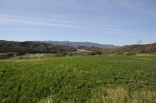 Enlarge photo 309