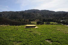 Enlarge photo 310