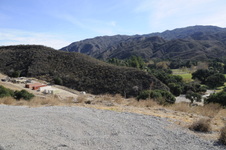 Enlarge photo 311