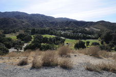 Enlarge photo 312