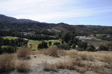 Enlarge photo 313