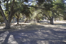 Enlarge photo 35