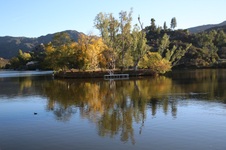 Enlarge photo 16