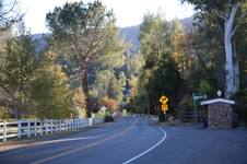 Enlarge photo 24