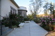 Enlarge photo 43