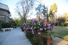 Enlarge photo 45