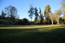 Enlarge photo 46