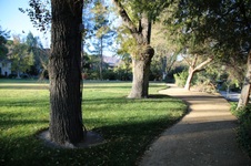 Enlarge photo 49