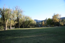Enlarge photo 50