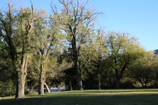 Enlarge photo 51