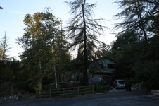 Enlarge photo 63