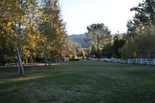 Enlarge photo 64