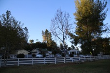 Enlarge photo 69